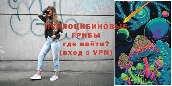 спиды Алзамай