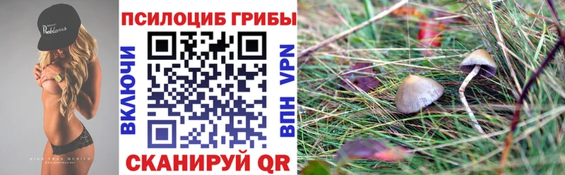 Галлюциногенные грибы Cubensis Полярный
